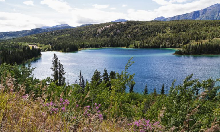 مهاجرت به کانادا و زندگی در استان یوکان کانادا (Yukon)