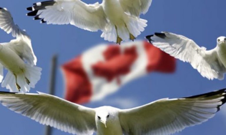 شهروندی کانادایی CANADIAN CITIZENSHIP